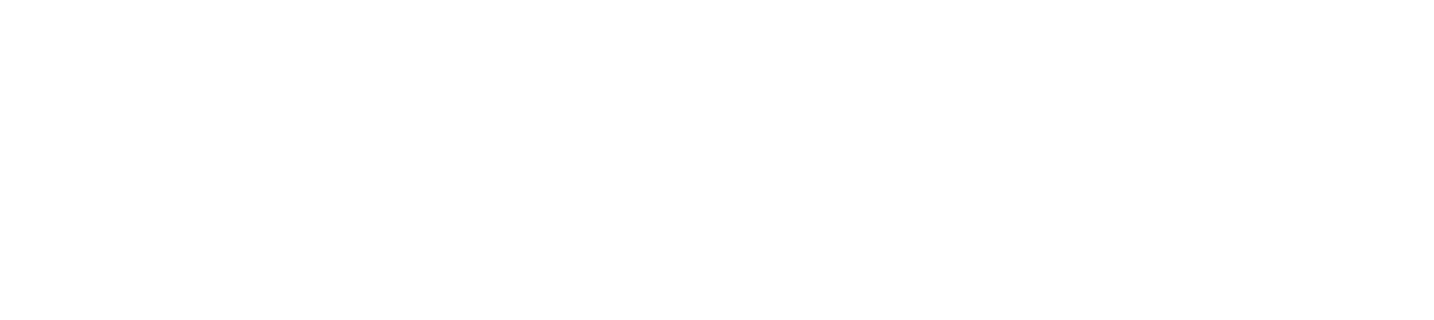 Sinapsi Adv